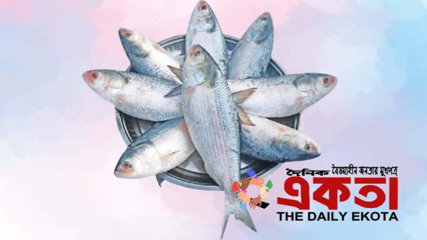 প্রতীকী ছবি।