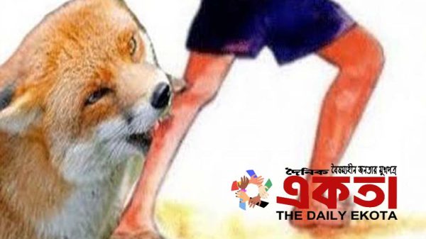 প্রতীকী ছবি।