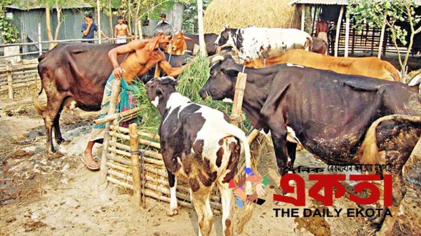 প্রতীকী ছবি।